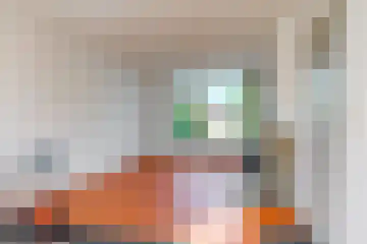Lijsterbesstraat 2 Driebruggen thumbnail 6