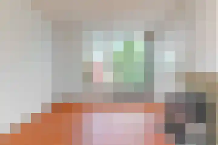 Lijsterbesstraat 2 Driebruggen thumbnail 7