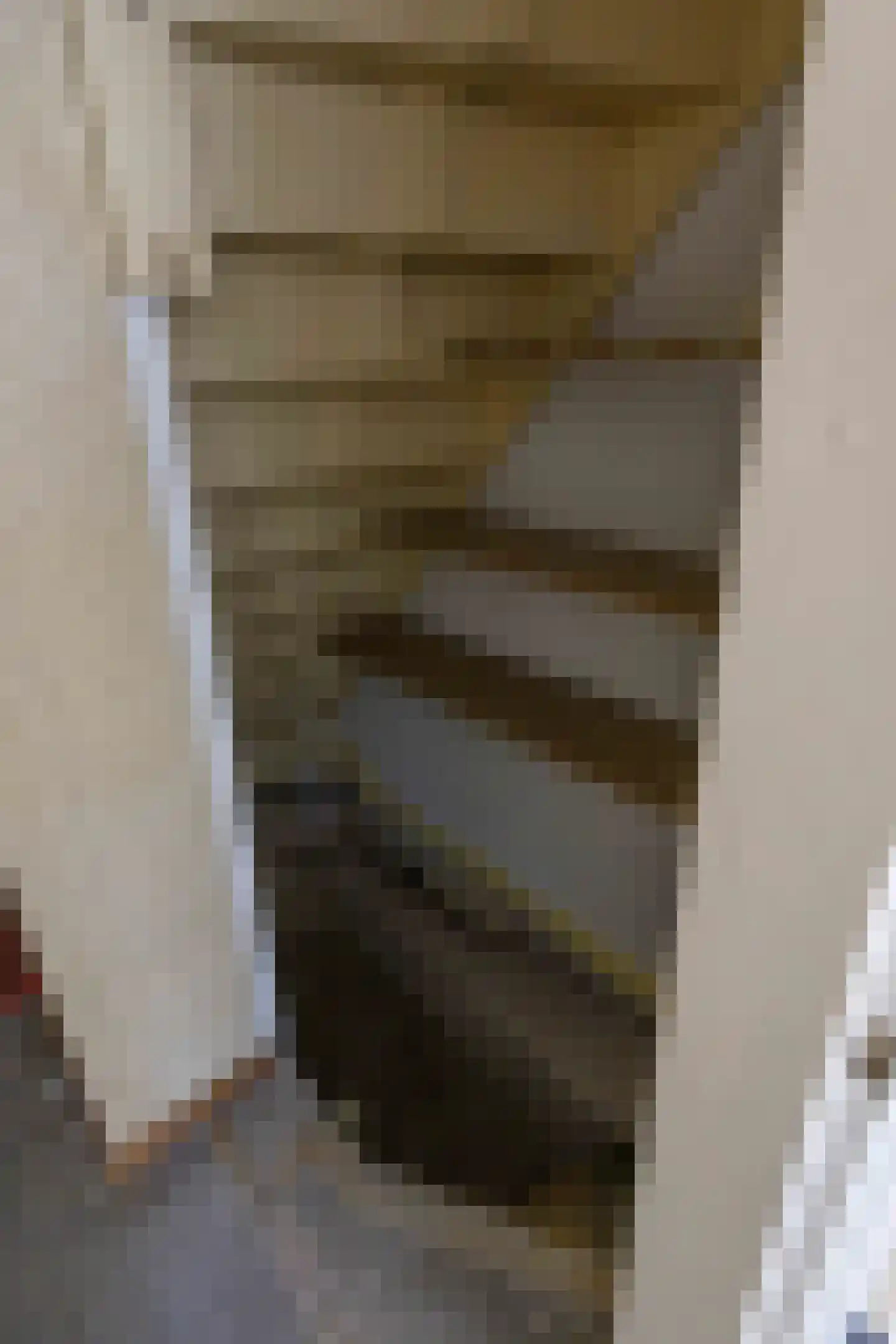 Lijsterbesstraat 2 Emmeloord thumbnail 10