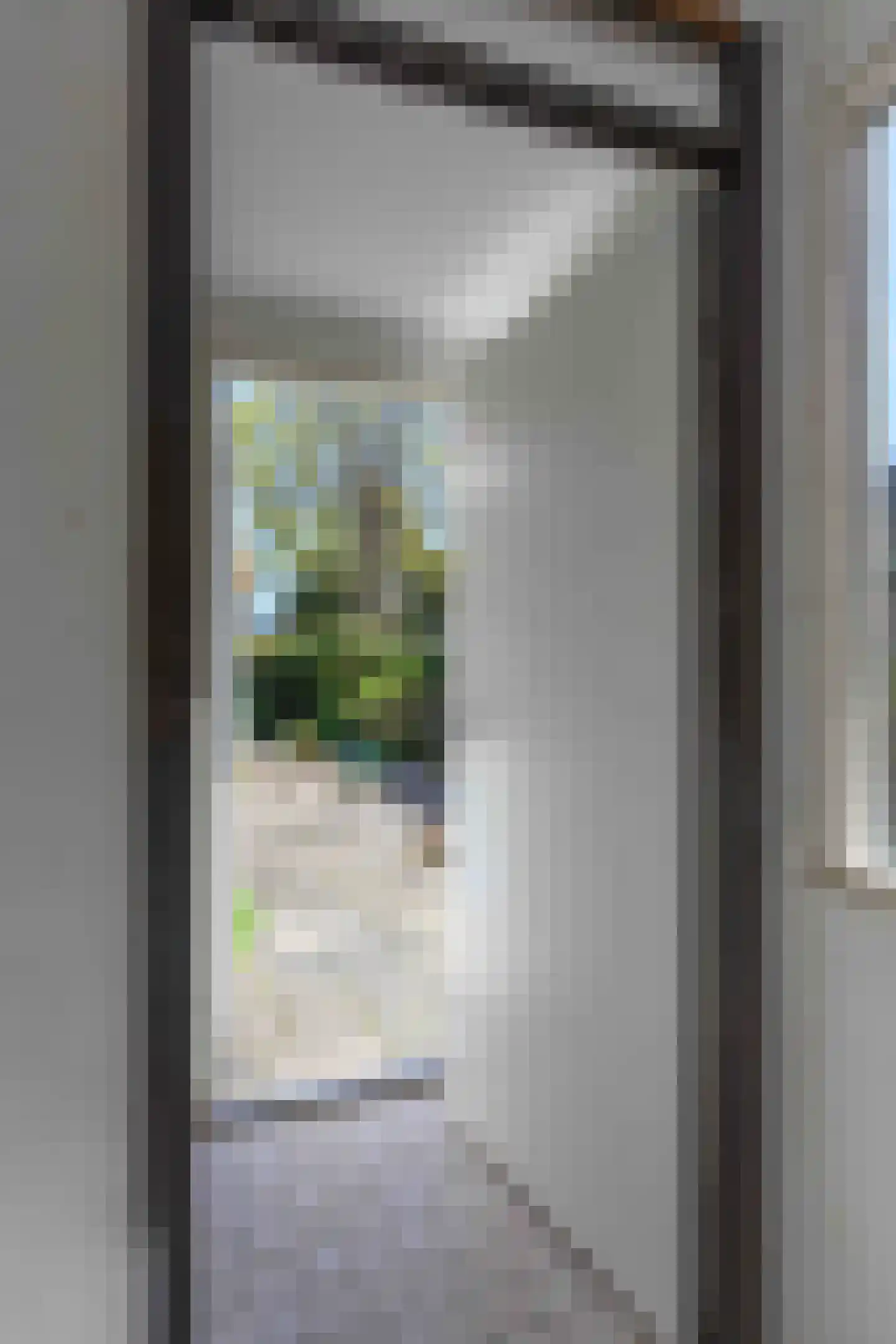 Lijsterbesstraat 2 Emmeloord thumbnail 12