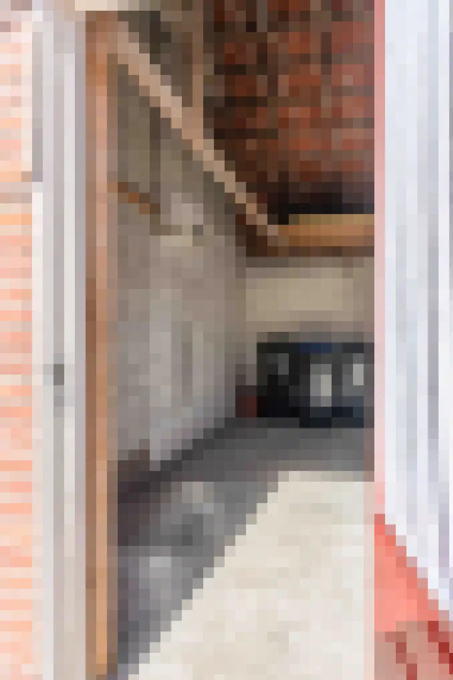 Lijsterbesstraat 2 Emmeloord thumbnail 14