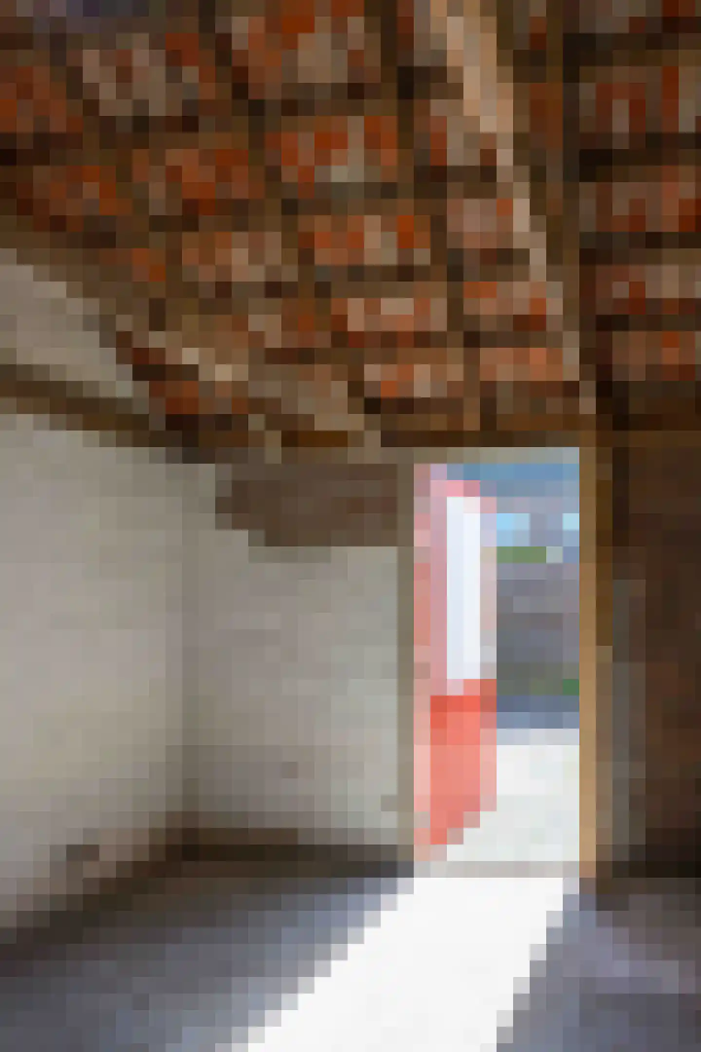 Lijsterbesstraat 2 Emmeloord thumbnail 16