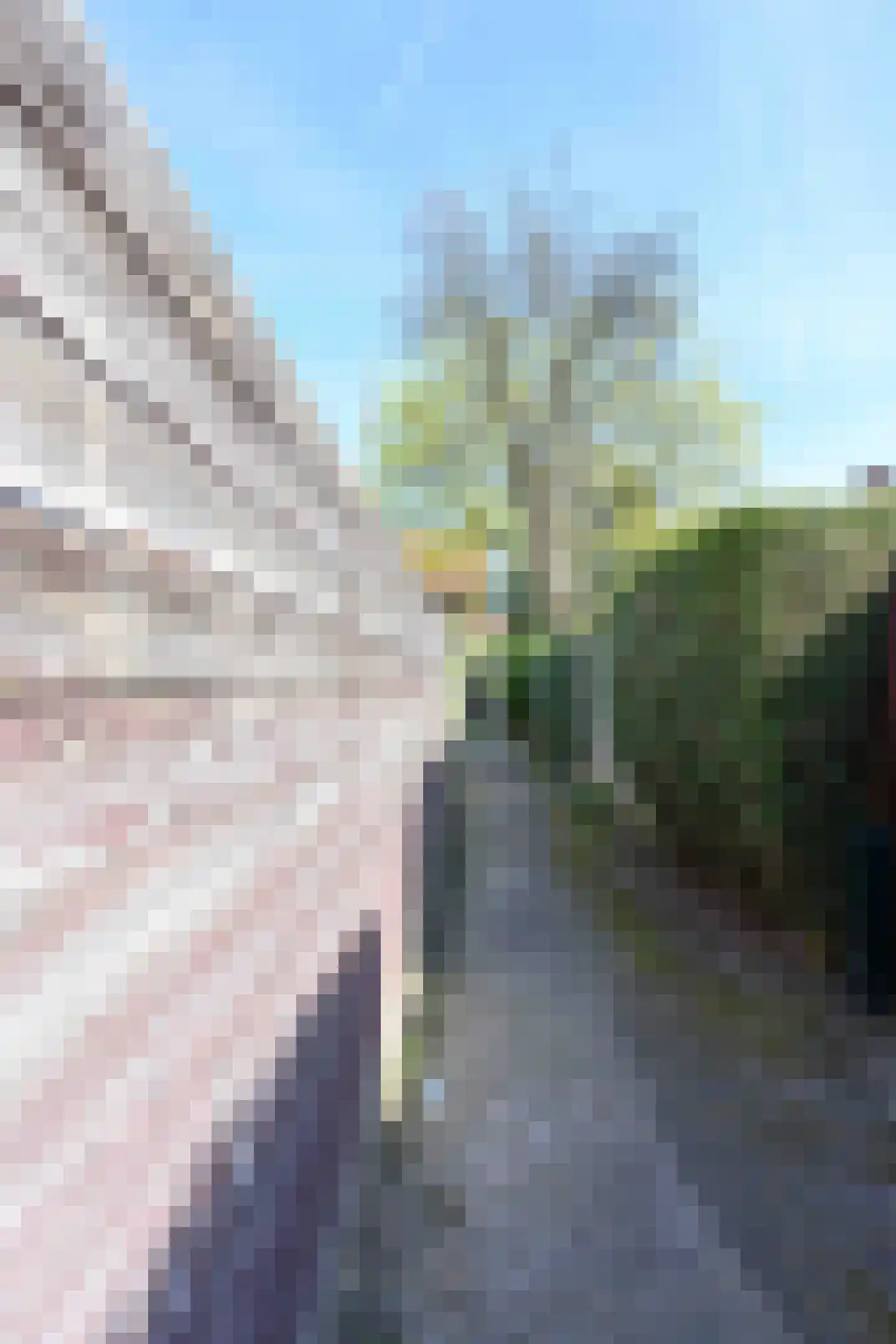 Lijsterbesstraat 2 Emmeloord thumbnail 20