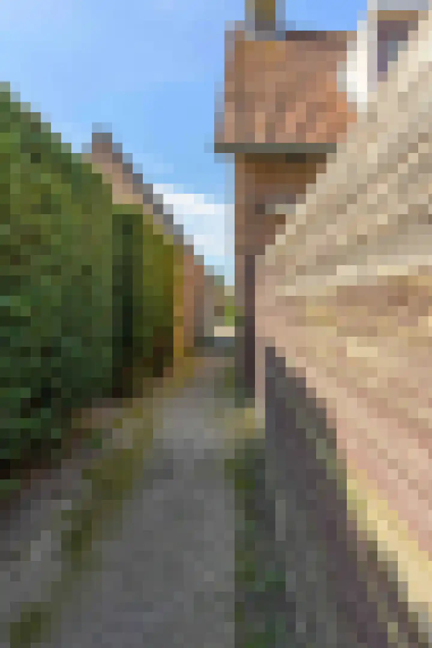 Lijsterbesstraat 2 Emmeloord thumbnail 21