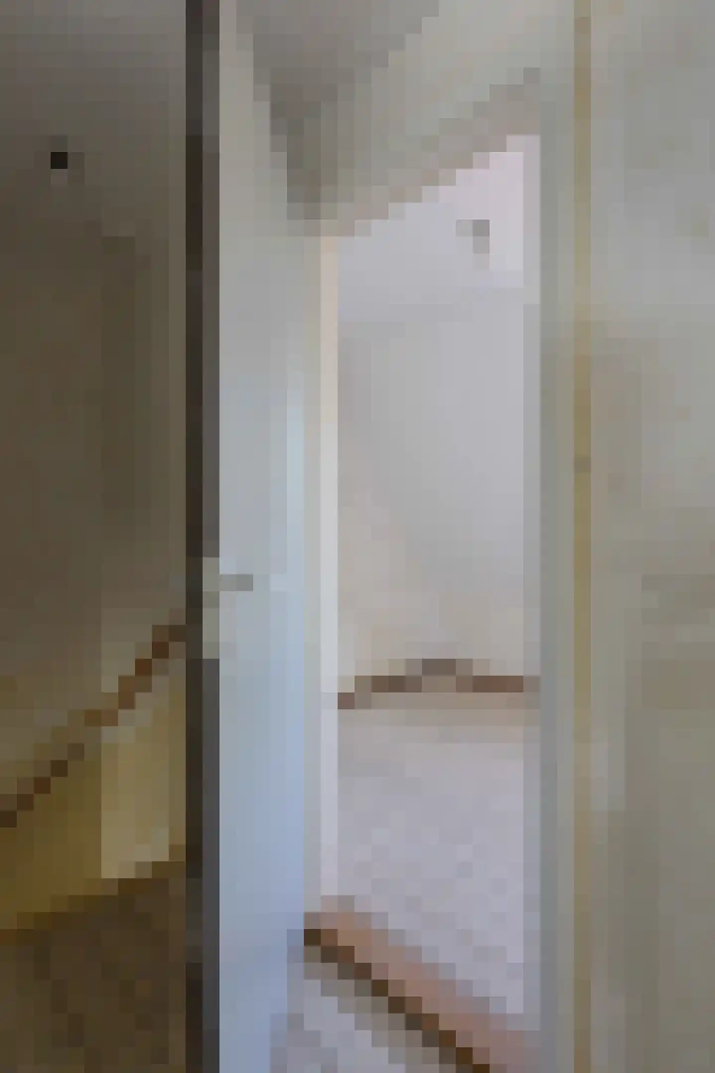 Lijsterbesstraat 2 Emmeloord thumbnail 24