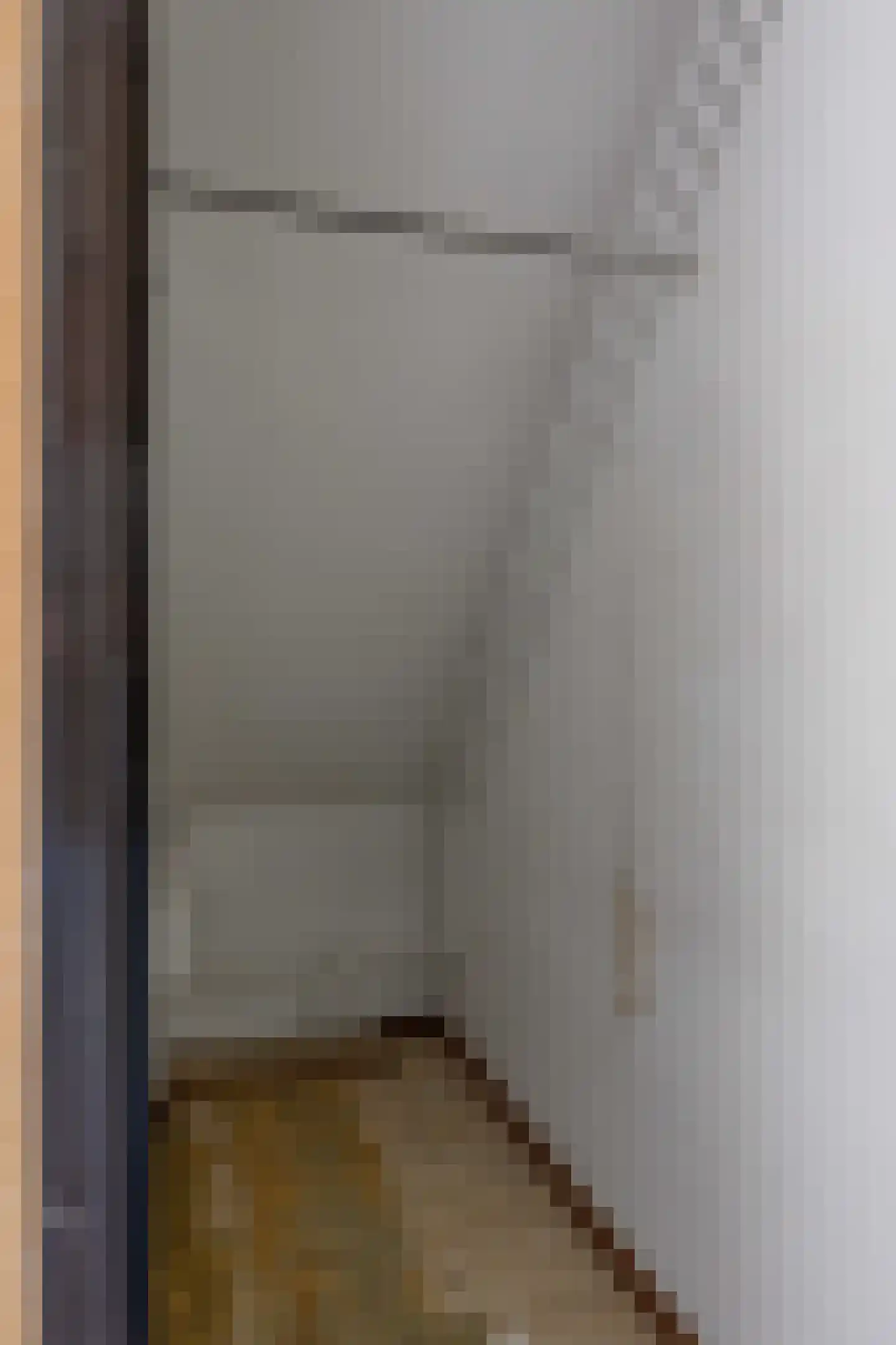 Lijsterbesstraat 2 Emmeloord thumbnail 33