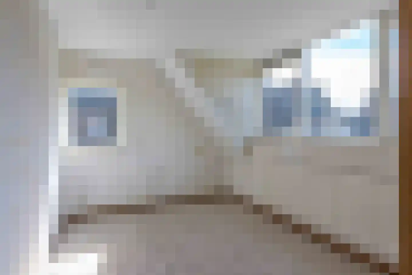 Lijsterbesstraat 2 Emmeloord thumbnail 34