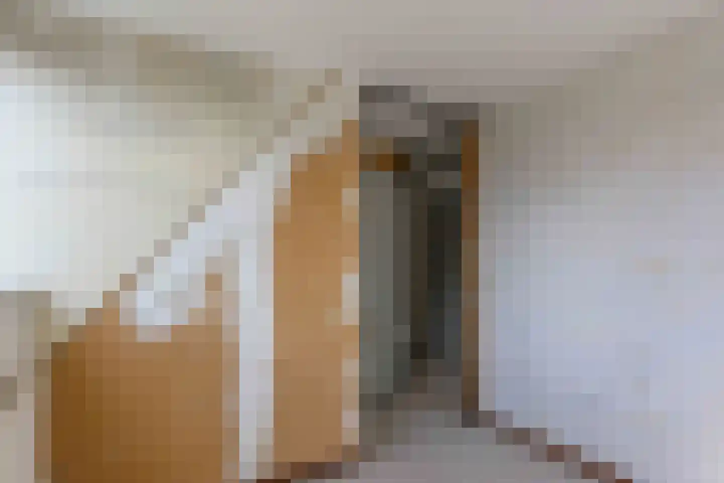 Lijsterbesstraat 2 Emmeloord thumbnail 36