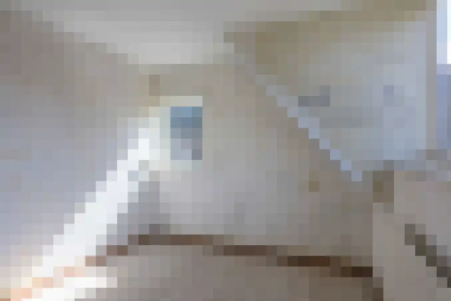 Lijsterbesstraat 2 Emmeloord thumbnail 37