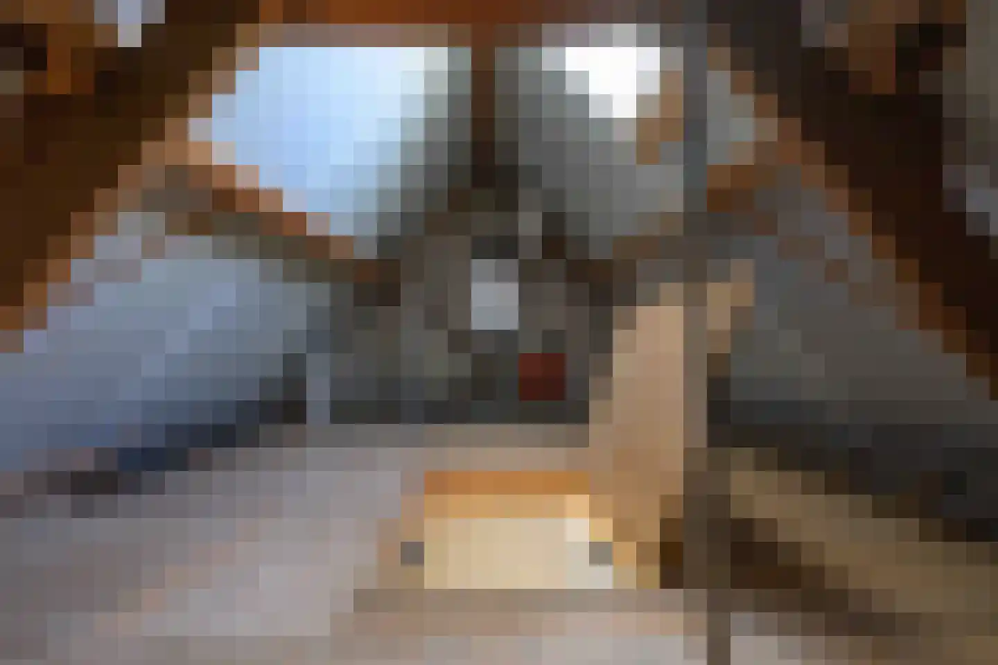 Lijsterbesstraat 2 Emmeloord thumbnail 42
