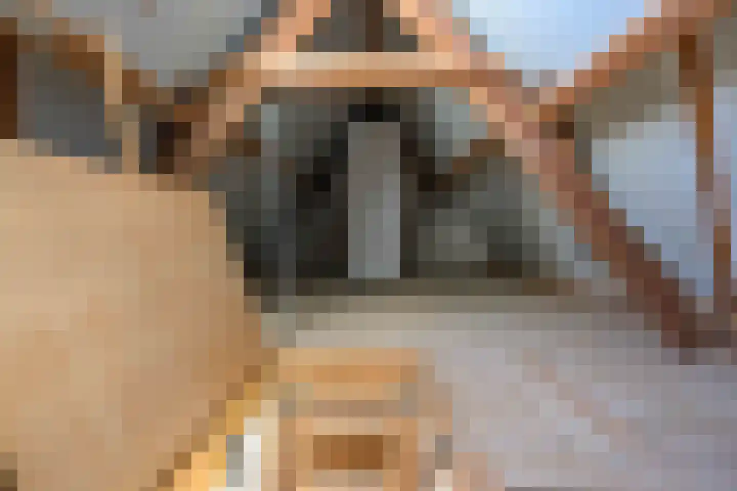 Lijsterbesstraat 2 Emmeloord thumbnail 43