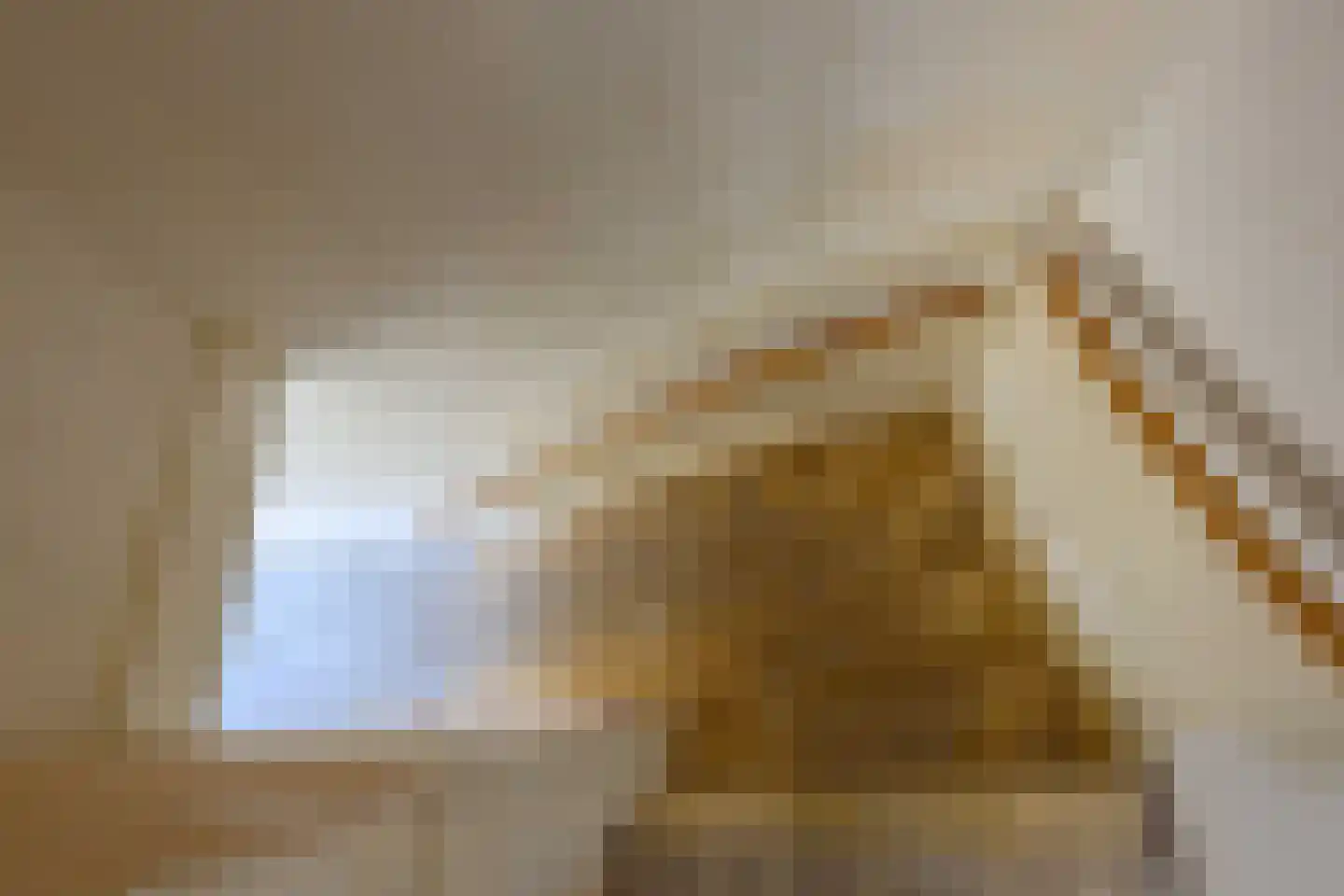 Lijsterbesstraat 2 Emmeloord thumbnail 44