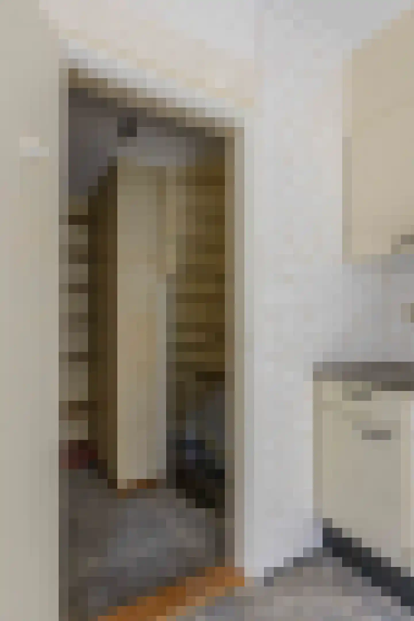 Lijsterbesstraat 2 Emmeloord thumbnail 9