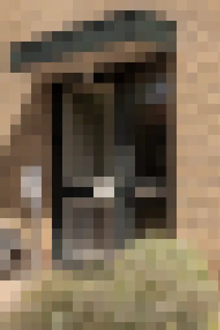 Lijsterbesstraat 2 Groesbeek thumbnail 4