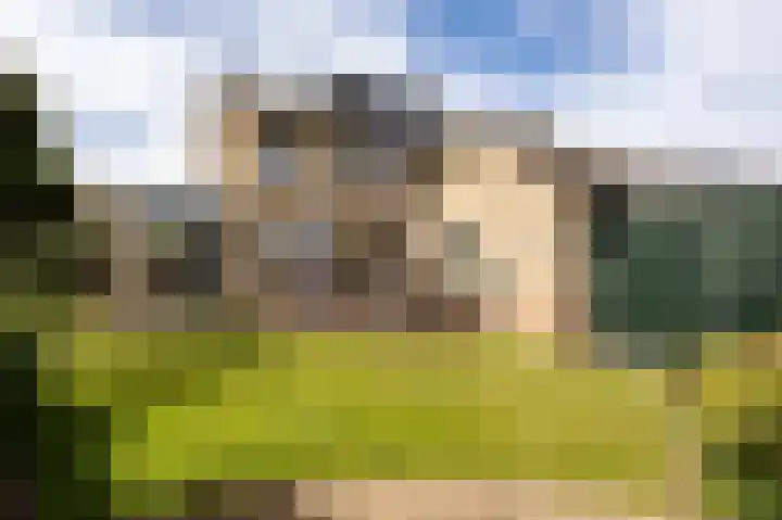 Lijsterbesstraat 2 Groesbeek thumbnail 44