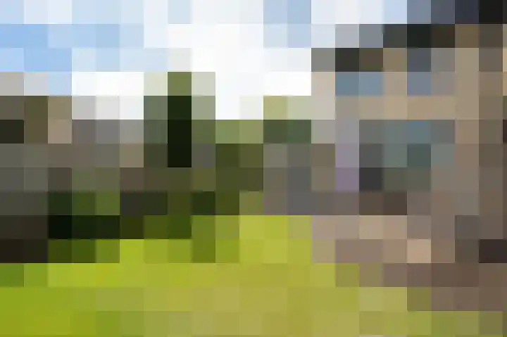 Lijsterbesstraat 2 Groesbeek thumbnail 45