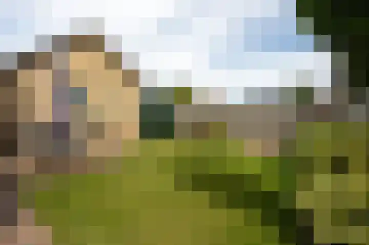 Lijsterbesstraat 2 Groesbeek thumbnail 47
