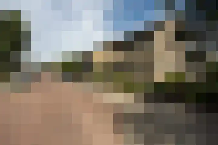 Lijsterbesstraat 2 Groesbeek thumbnail 48