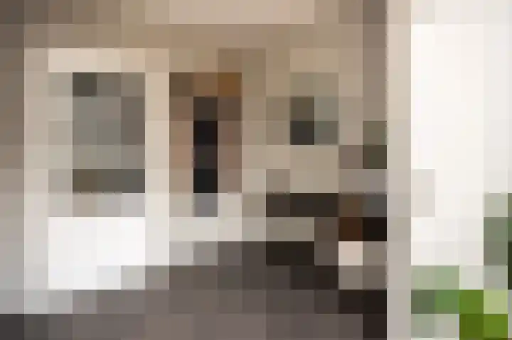 Lijsterbesstraat 2 Groesbeek thumbnail 5