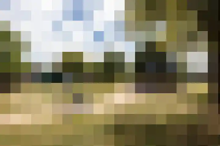 Lijsterbesstraat 2 Groesbeek thumbnail 50