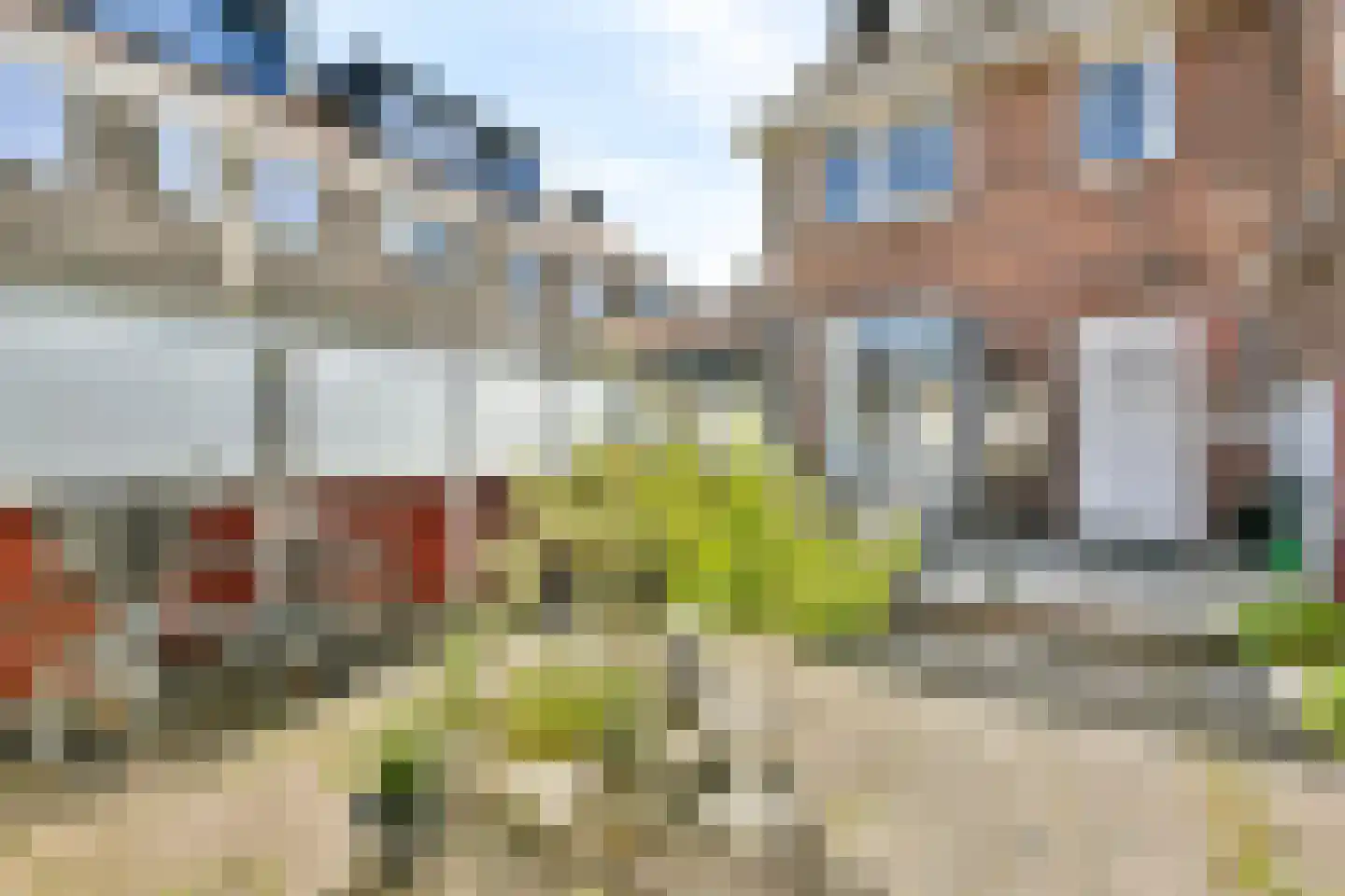 Lijsterbesstraat 2 Zaandam thumbnail 12