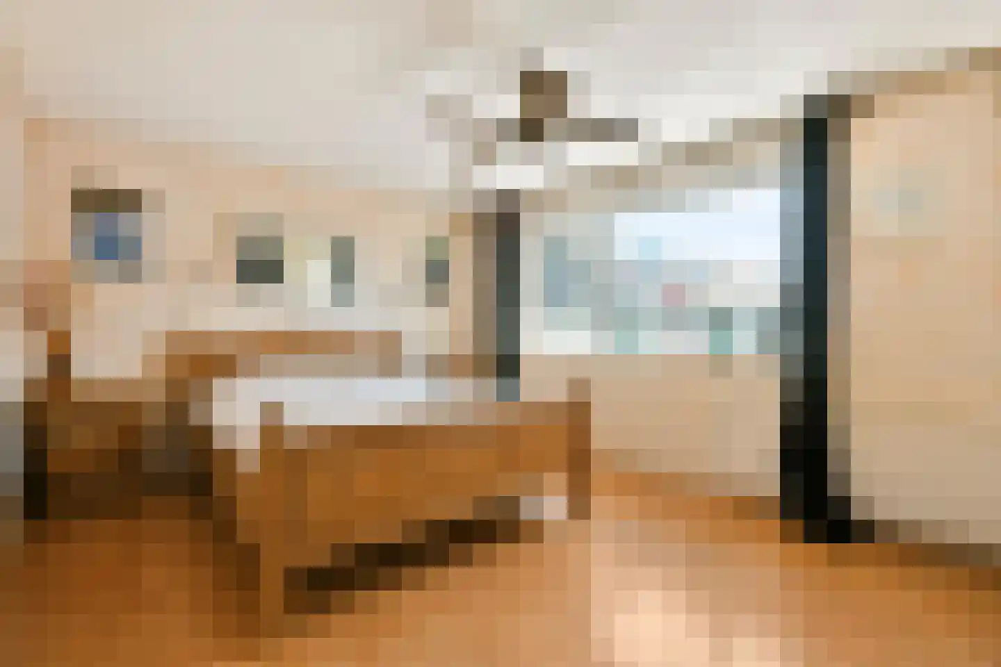 Lijsterbesstraat 2 Zaandam thumbnail 14