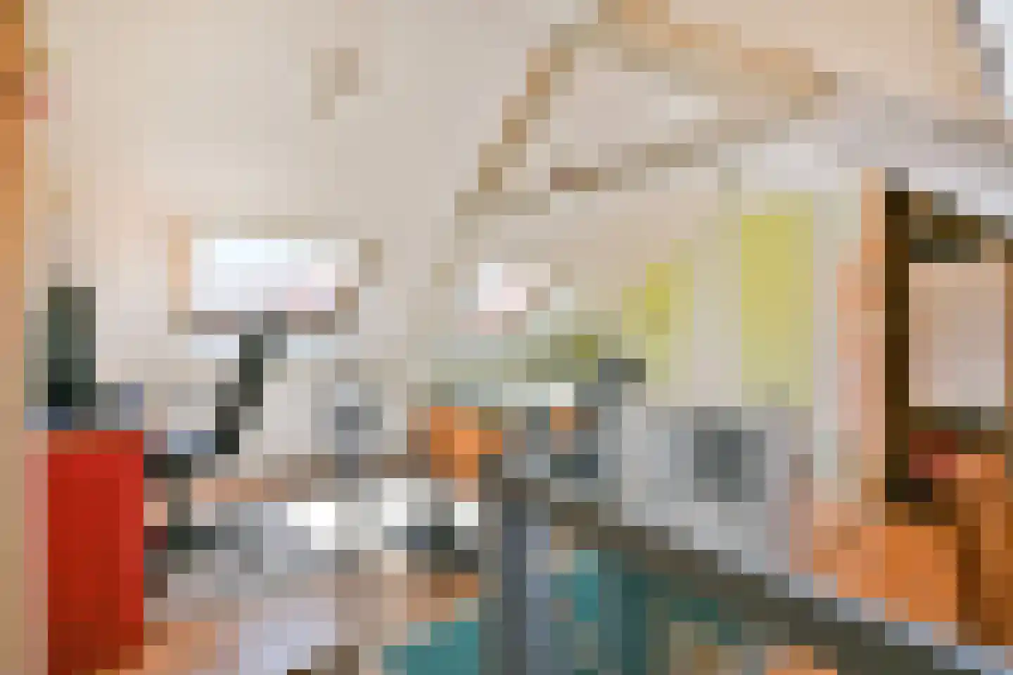 Lijsterbesstraat 2 Zaandam thumbnail 20