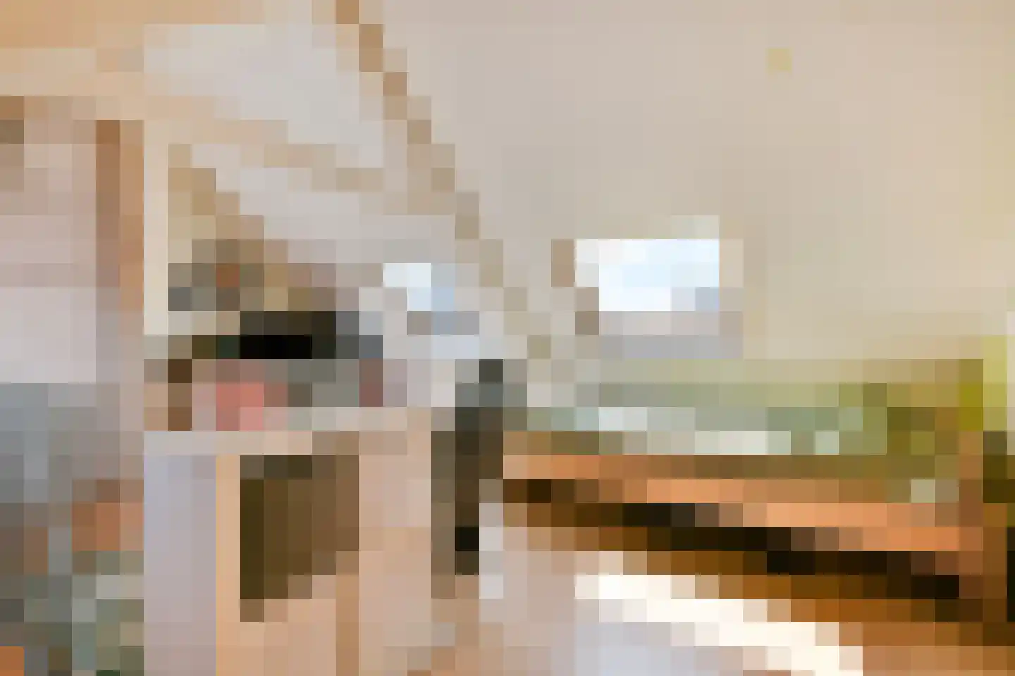 Lijsterbesstraat 2 Zaandam thumbnail 21