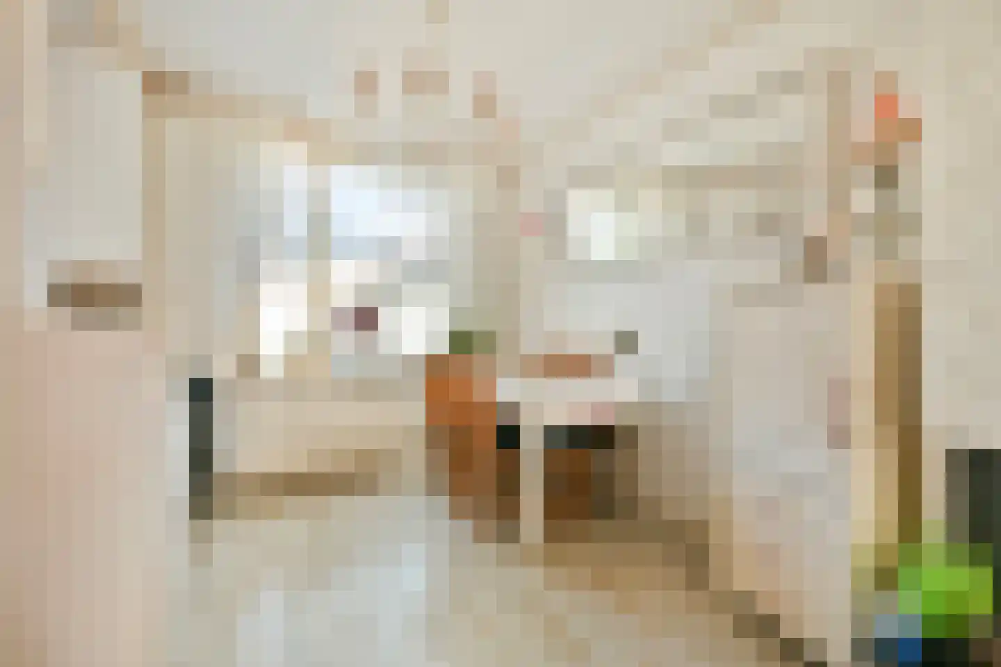 Lijsterbesstraat 2 Zaandam thumbnail 8