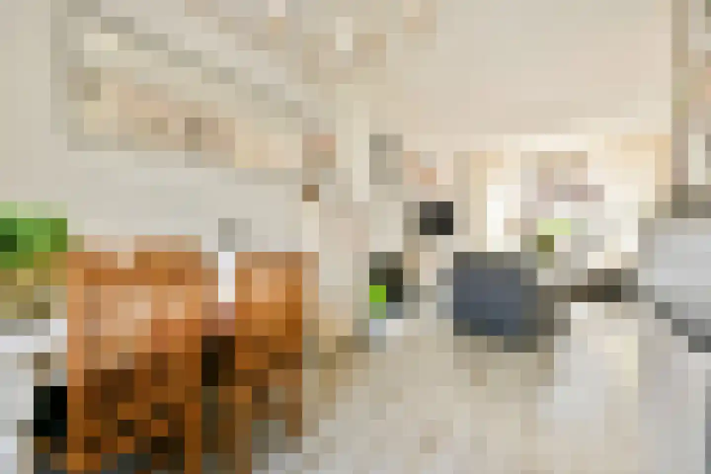 Lijsterbesstraat 2 Zaandam thumbnail 9