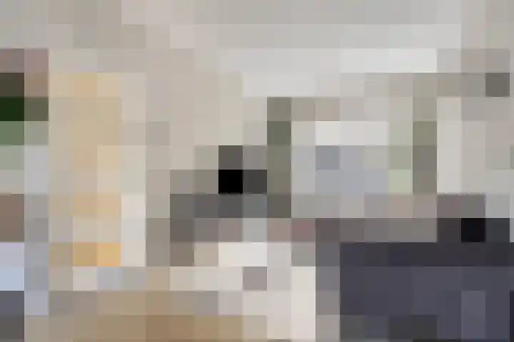 Lijsterbesstraat 20 Gouda thumbnail 10