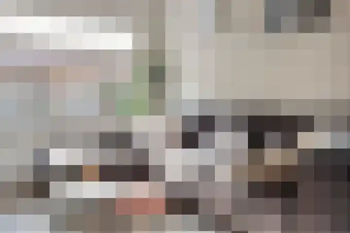 Lijsterbesstraat 20 Gouda thumbnail 12