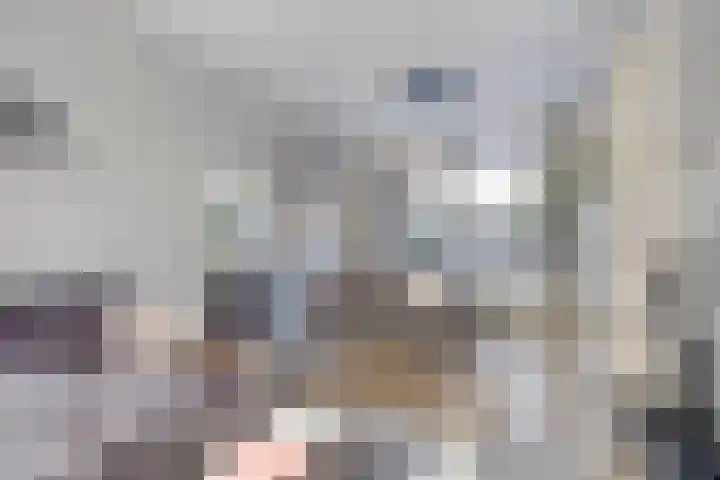 Lijsterbesstraat 20 Gouda thumbnail 13