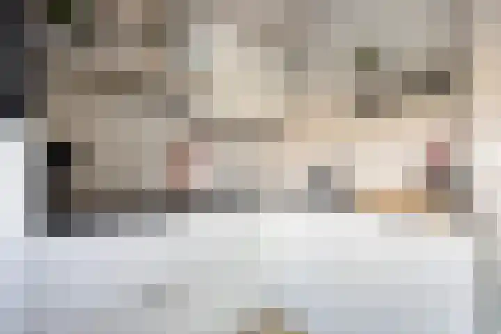 Lijsterbesstraat 20 Gouda thumbnail 16