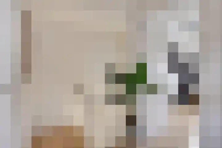 Lijsterbesstraat 20 Gouda thumbnail 20
