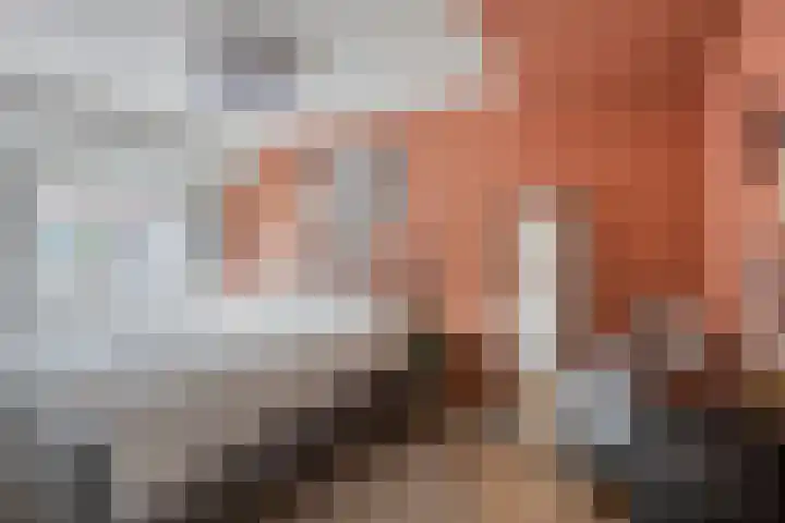 Lijsterbesstraat 20 Gouda thumbnail 21