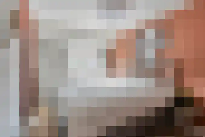 Lijsterbesstraat 20 Gouda thumbnail 22