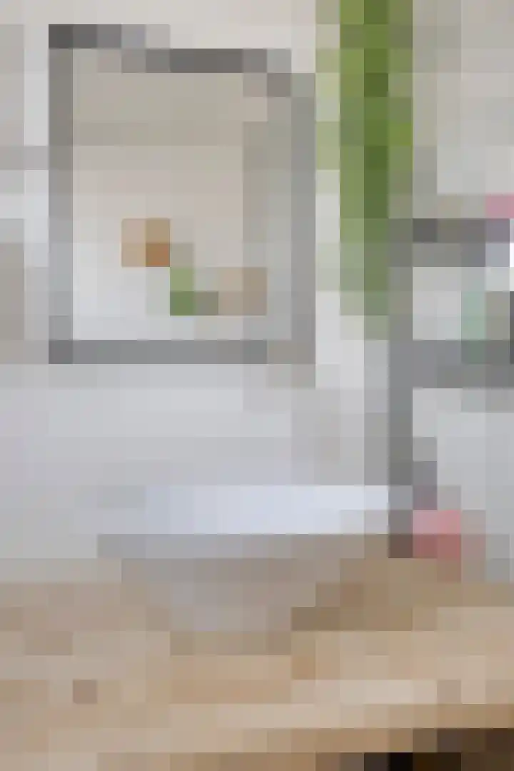 Lijsterbesstraat 20 Gouda thumbnail 23