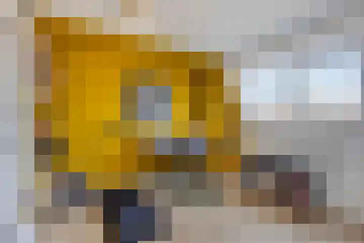 Lijsterbesstraat 20 Gouda thumbnail 25