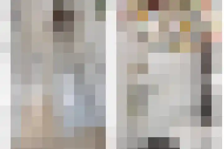 Lijsterbesstraat 20 Gouda thumbnail 4