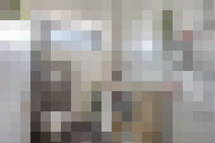 Lijsterbesstraat 20 Gouda thumbnail 5
