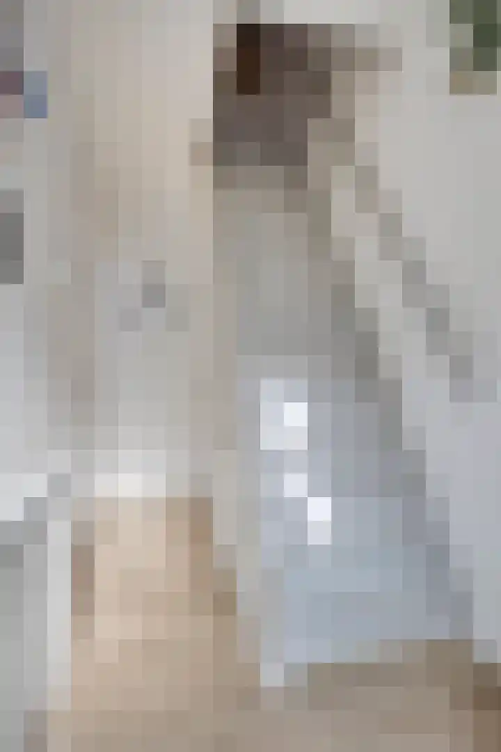 Lijsterbesstraat 20 Gouda thumbnail 8
