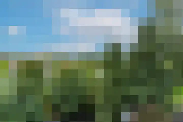 Lijsterbesstraat 204 Nieuwegein thumbnail 16