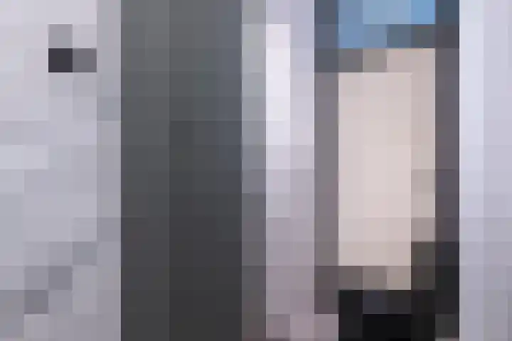 Lijsterbesstraat 204 Nieuwegein thumbnail 24