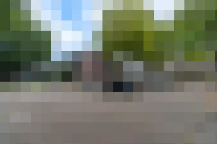 Lijsterbesstraat 204 Nieuwegein thumbnail 33