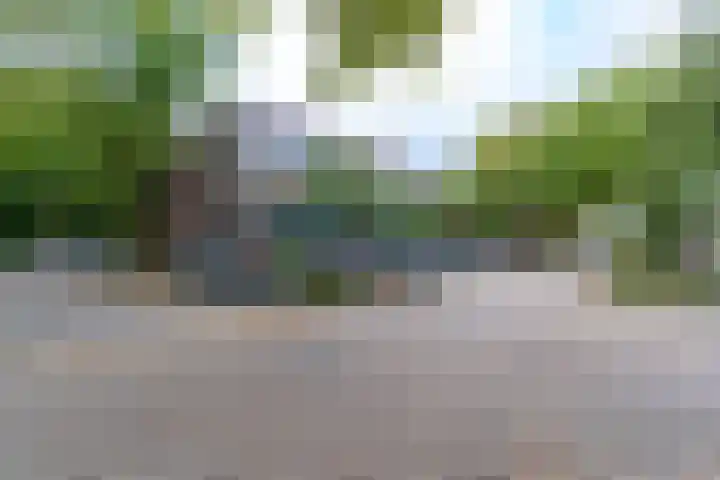 Lijsterbesstraat 204 Nieuwegein thumbnail 36