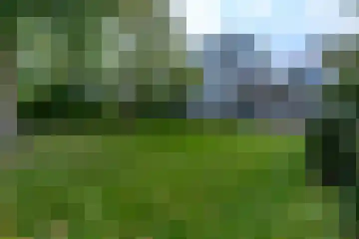 Lijsterbesstraat 204 Nieuwegein thumbnail 37
