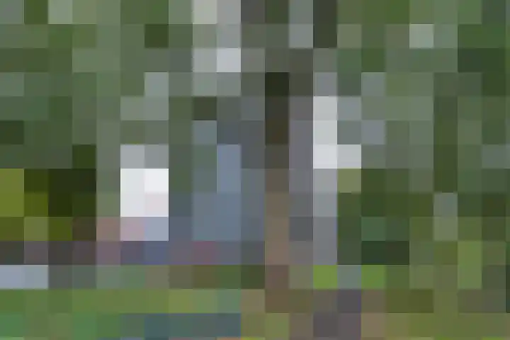 Lijsterbesstraat 204 Nieuwegein thumbnail 41