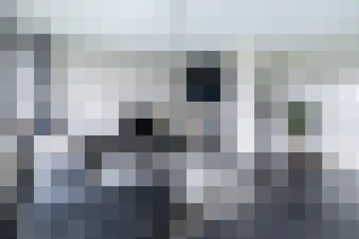 Lijsterbesstraat 204 Nieuwegein thumbnail 5