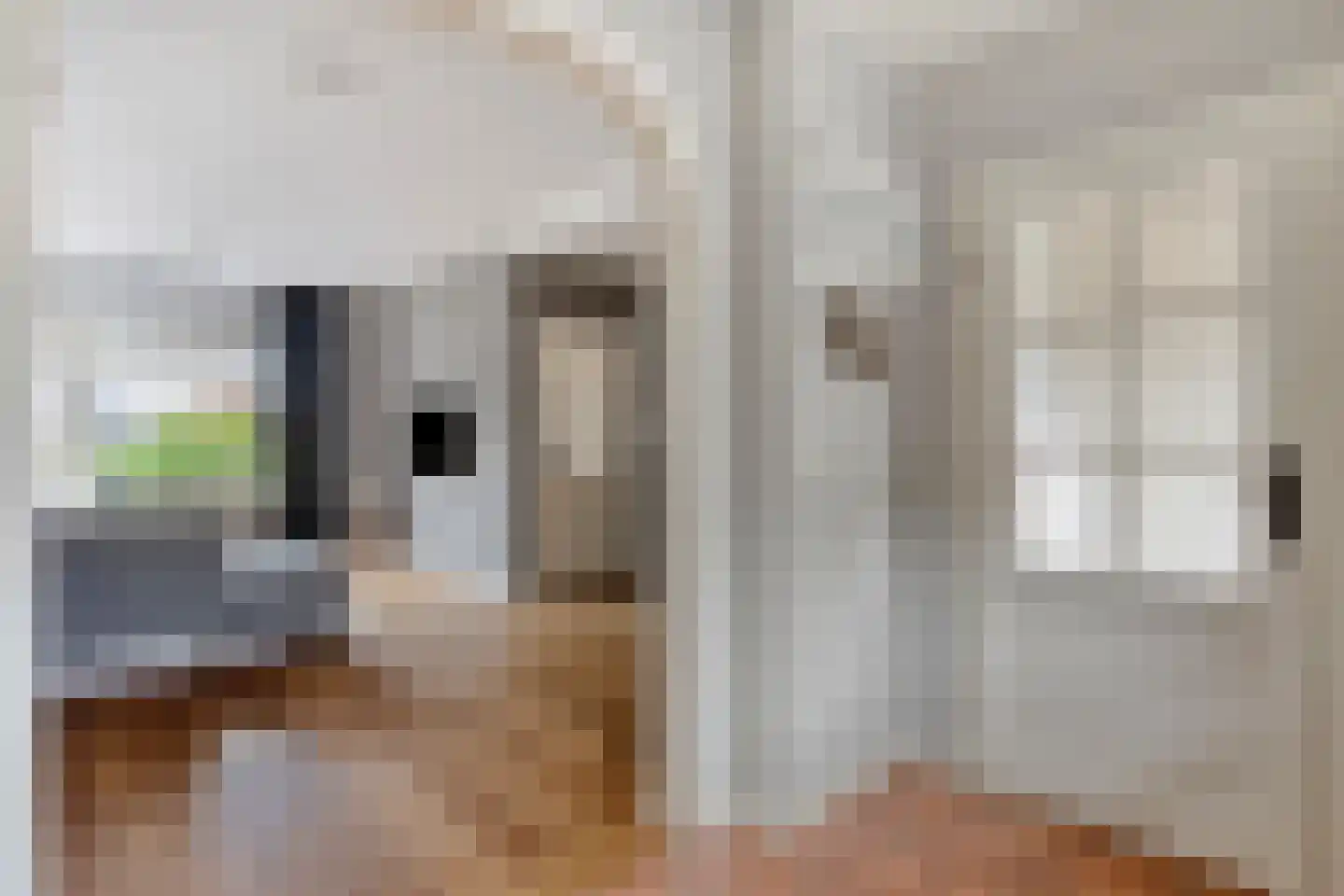 Lijsterbesstraat 21 Opheusden thumbnail 10